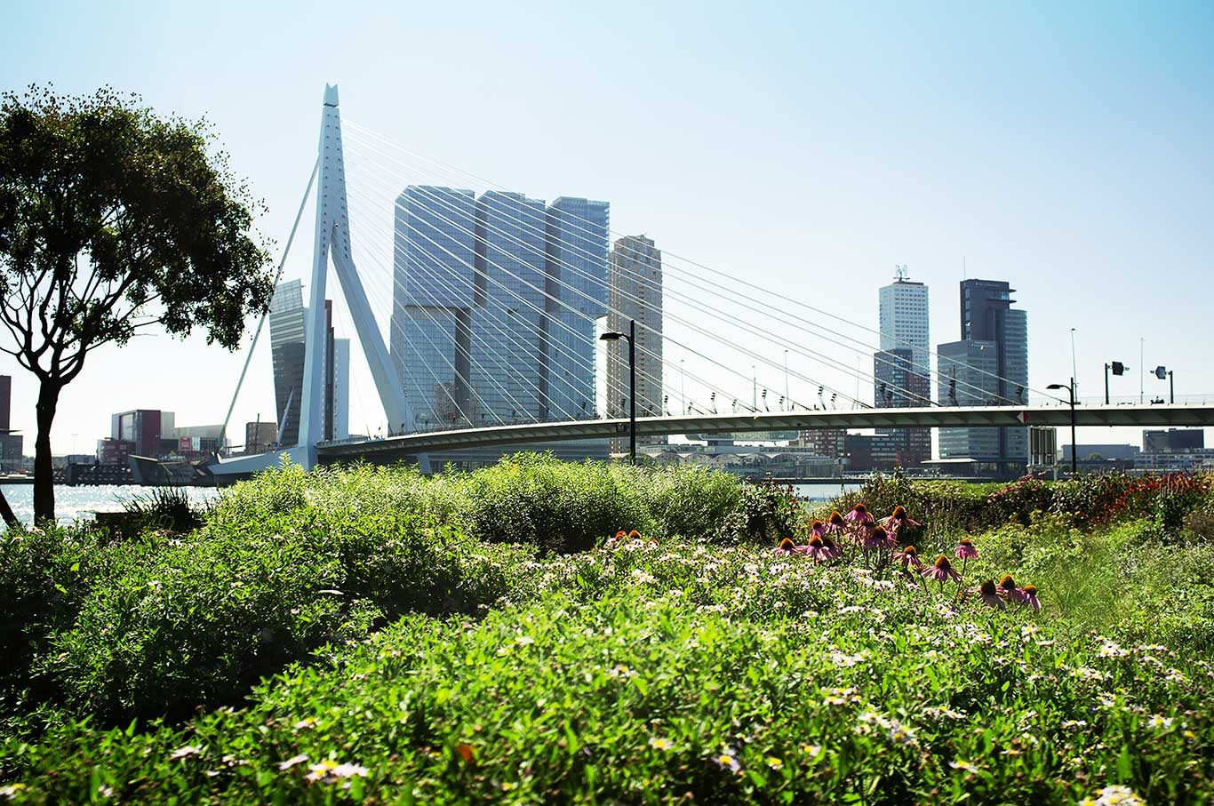 Sustainable City